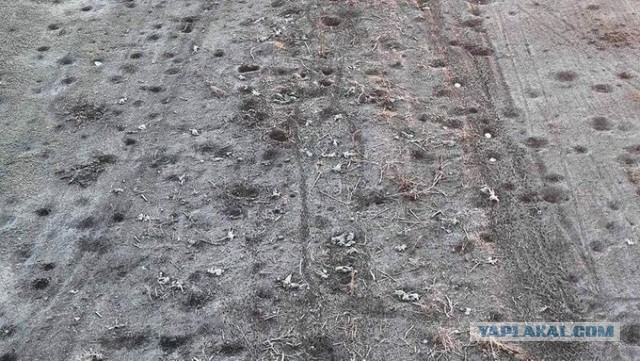 В ЛНР узнали о полученном ВСУ приказе на отступление из Соледара в ближайшее время