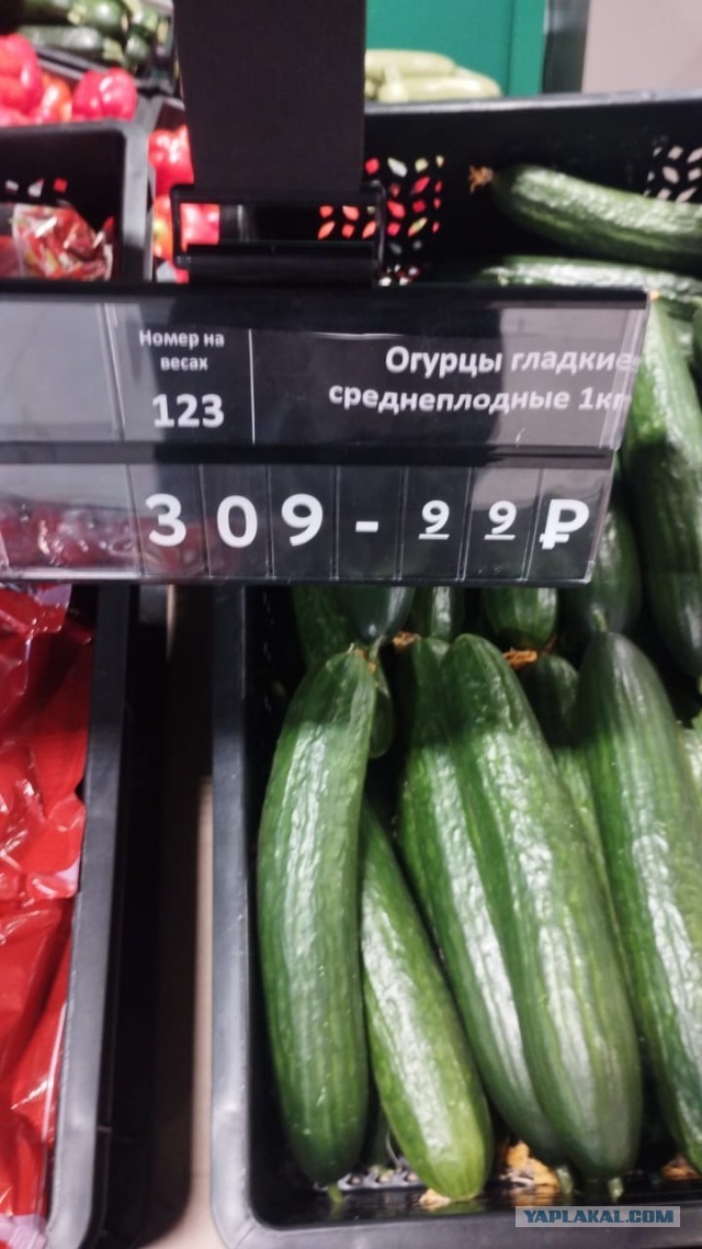 Огурцы дороже мяса