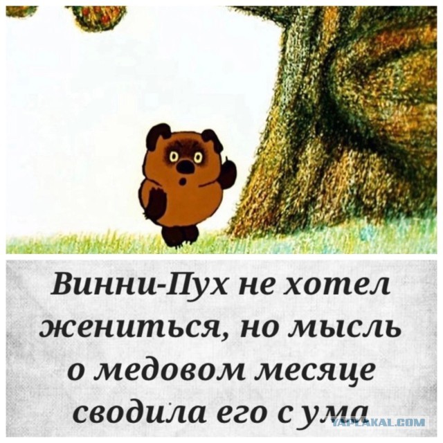 Прикольные и просто красивые картинки 21.02.2023