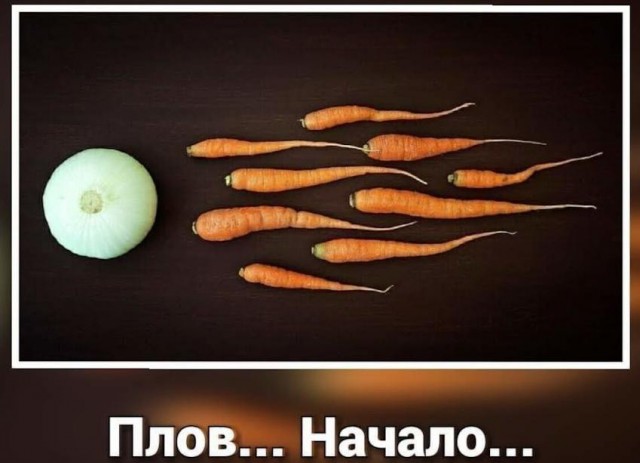 Про плов⁠⁠