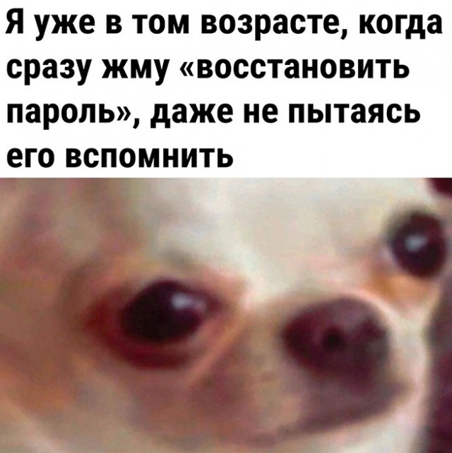 Так себе картинки 09.05.23
