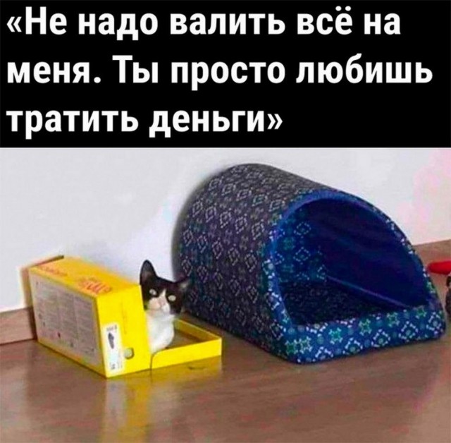 Картинки и мемы, всяко разно - 183