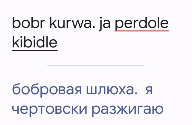Напугал Шарика