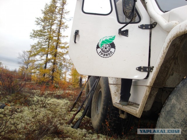 Оленевод Гаврила и 100 грамм водки