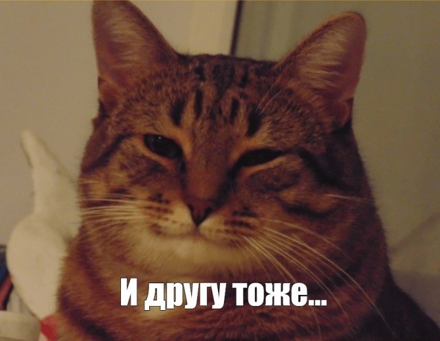 Анохиния