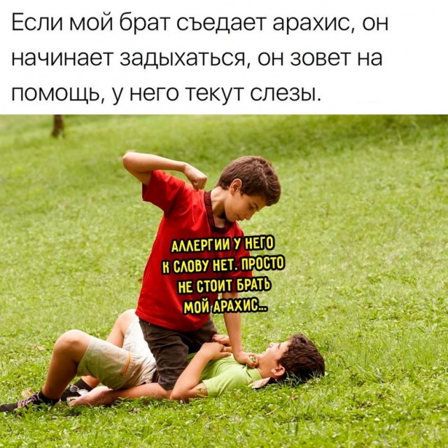 Весёлый полтишок 15.09.23
