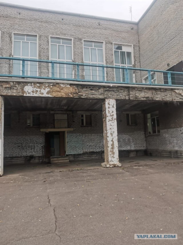 Слишком дорогие дети