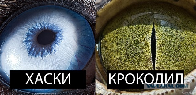 Так себе картинки 03.12.23