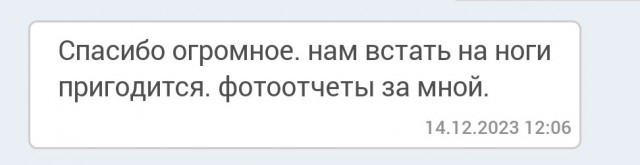 Собакочетверг или как я стал приемным папой