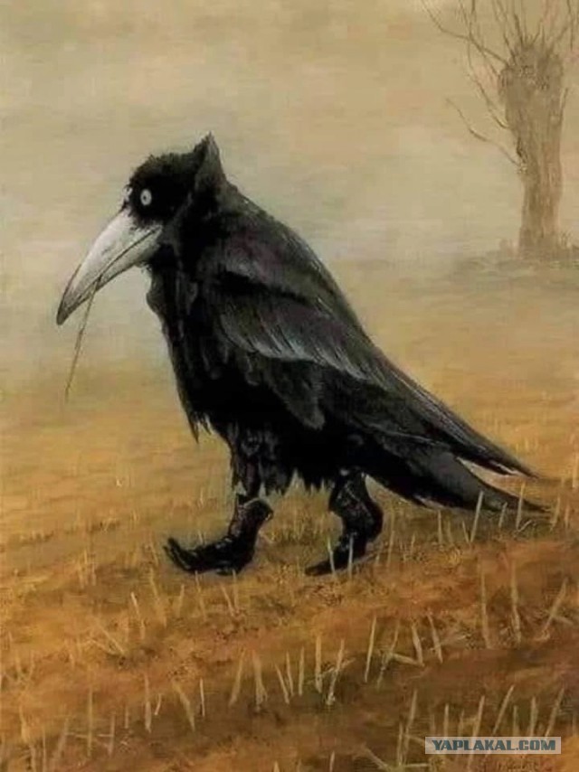 О старости пару слов