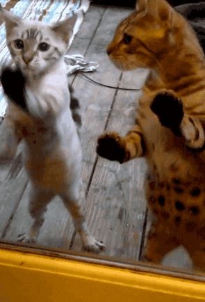 Друг, помогай !