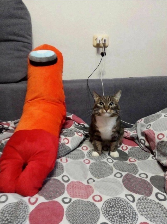 ФотоВинегрет