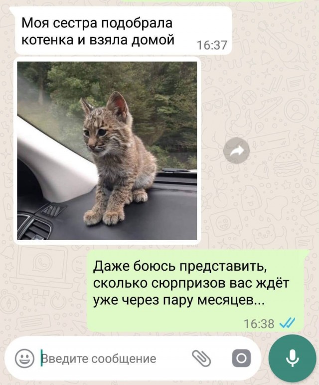 Завалялось тут случайно немного забавных картинок
