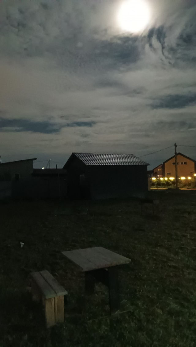 Оборотни против вампиров. Конкурс ужастиков к 31 октября