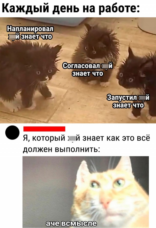 Разгоняем тоску