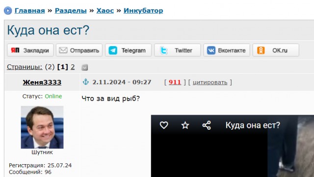 Куда она ест?