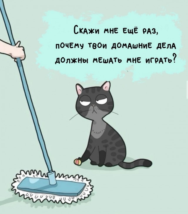 Картинки вечером в четверг
