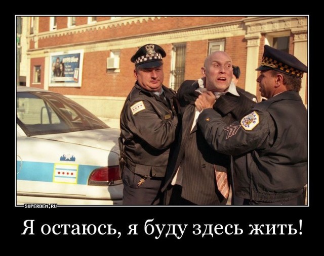 Девушка оставила своего котейку у матери на три недели, и у женщины включился «эффект бабушки» — теперь пушистому не до тыгыдыков