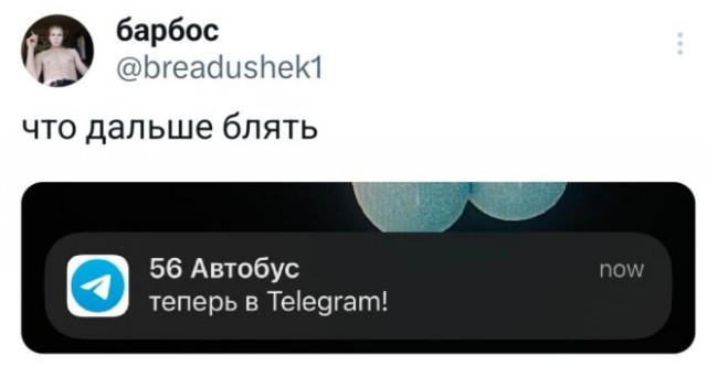 Веселые картинки в пятницу (21.02)
