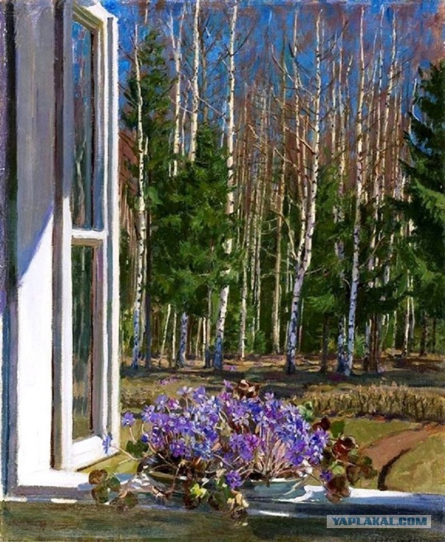 Деревенская Америка - 10