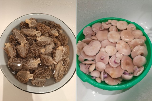 Литболталка