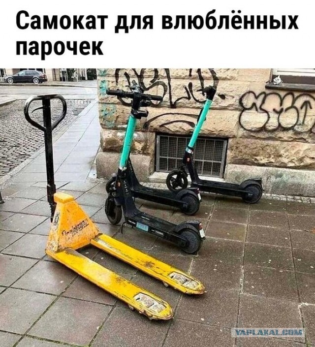 Подрезанные крылья