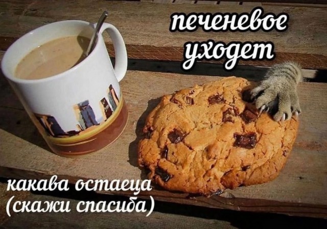 Так себе картинки 14.06.25