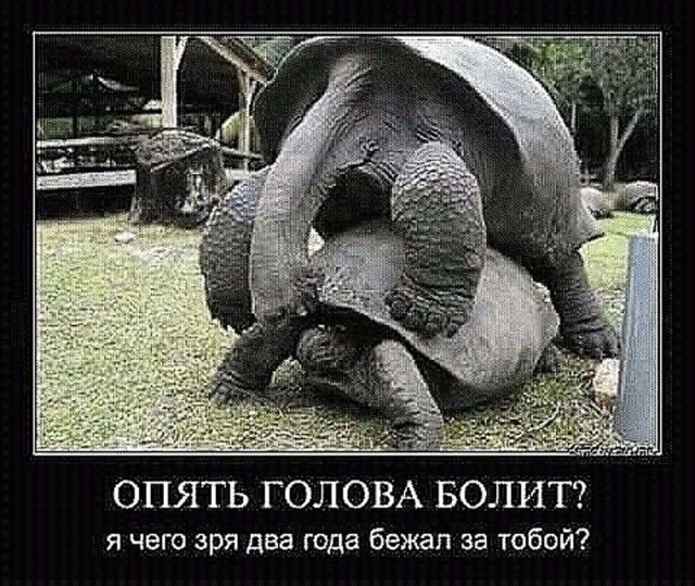 Прикольные и просто красивые картинки