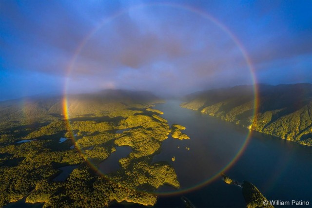 27 лучших фото финалистов и победителей конкурса Australian Geographic Nature Photographer 2025