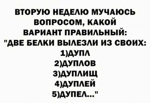 Картинки для деградации 47 (разной степени свежести)