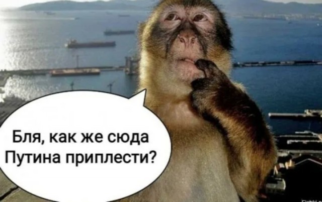 Человек гондон
