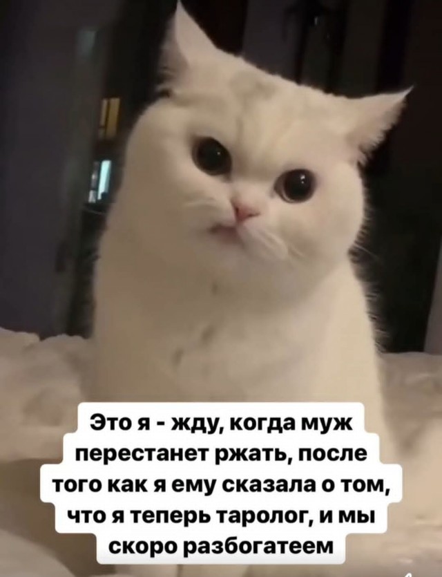 Маленькая пятница 1.10