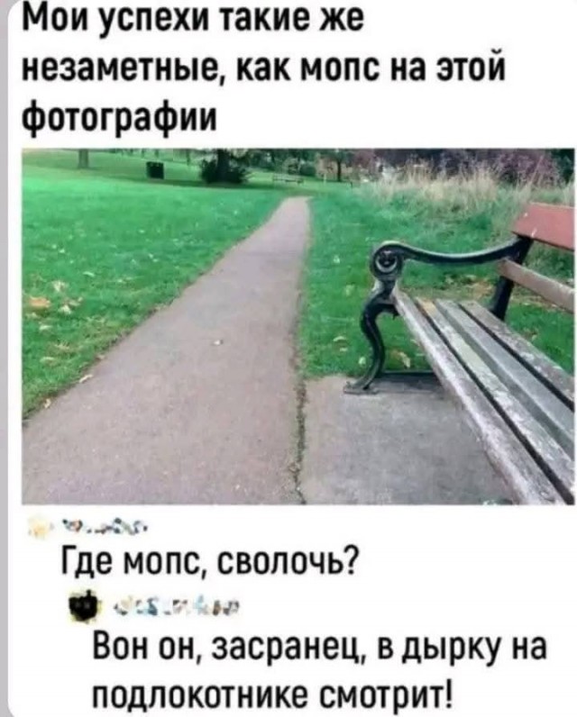 Прикольные и просто красивые картинки 10.10.2025