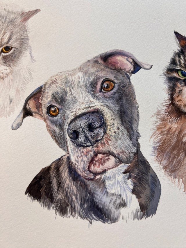 Групповой портрет - 2 кошки и собака