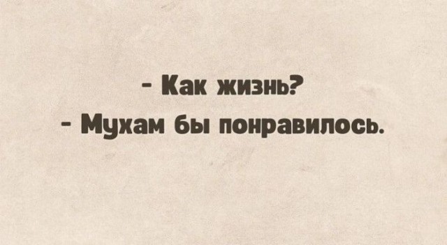 Картинки для деградации 82 (разной степени свежести)