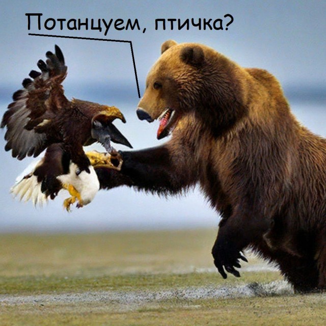Вопрос со чтогдекогды.