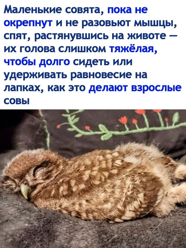 Так себе картинки 30.06.26