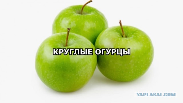 Готовимся к НГ