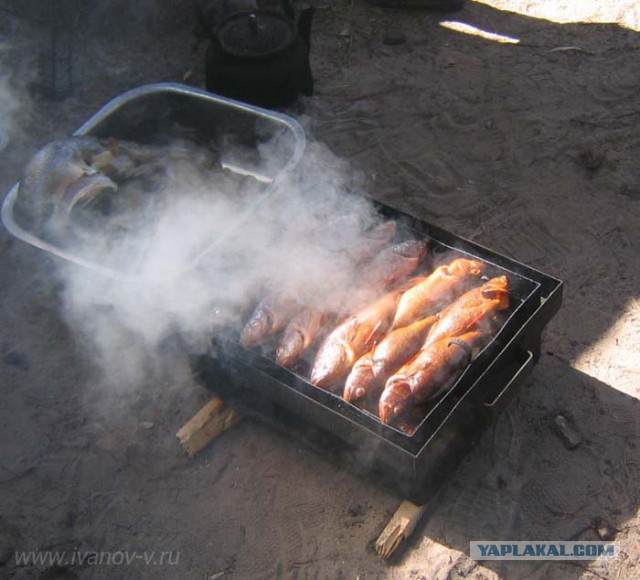 Самая популярная и любимая нами еда