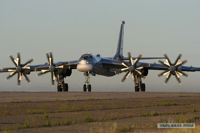 Мечтали иметь Ту-95?