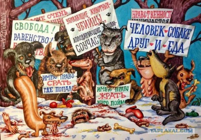 Поймали догхантера