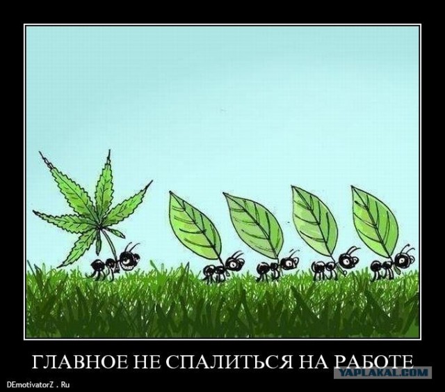 Как не спалиться на работе