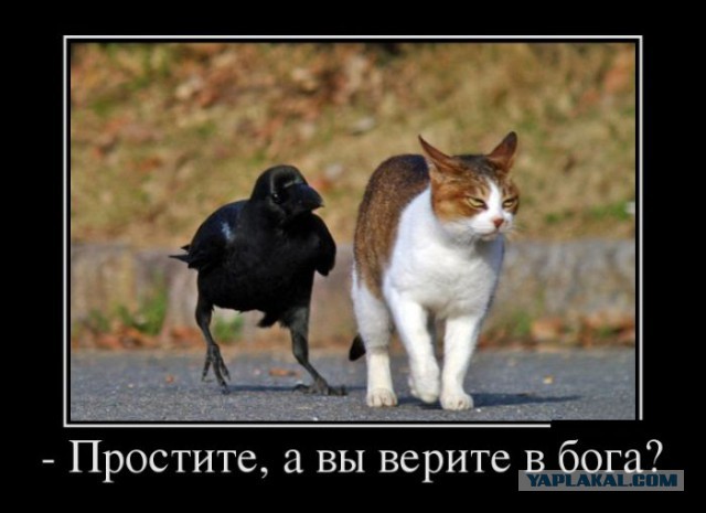 Чудеса господни