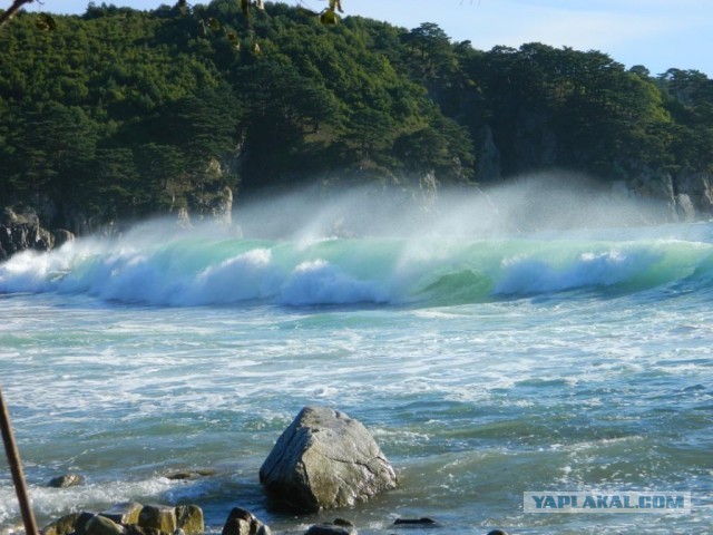 Бухта Теляковского