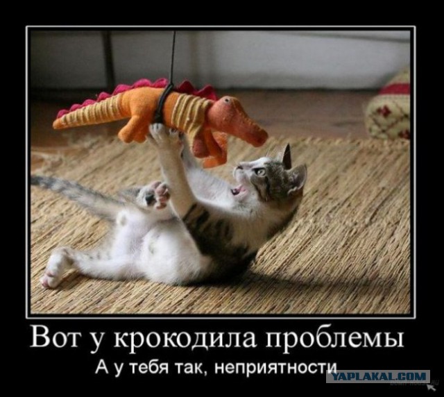 Весёлое из сети