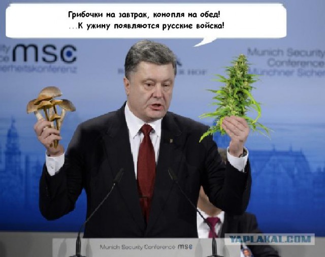 Что еще предложит Петя?