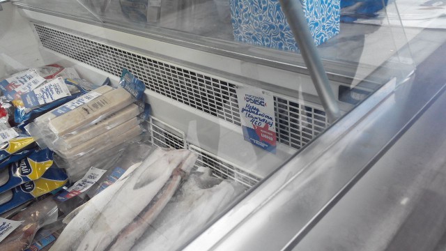 Гид по лучшим развлечения «Рыбной недели» в Москве