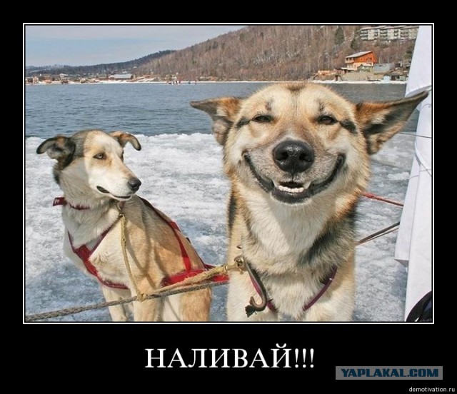 Не олкаш ли ты?