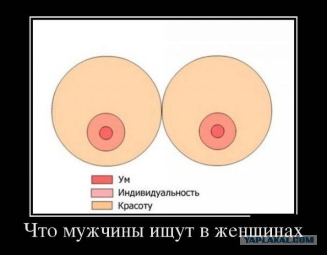 Весёлости в картинках