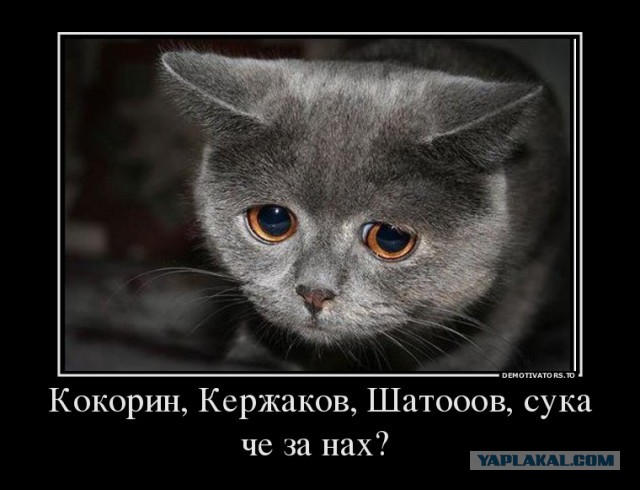 36 тысяч коту под хвост....